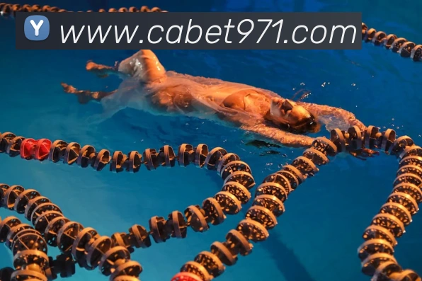 cabet亚州城发展历程